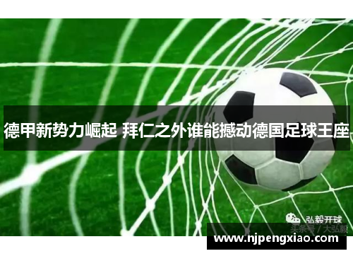 德甲新势力崛起 拜仁之外谁能撼动德国足球王座